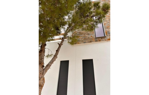 New Build - Villa - Pinoso - Casas Pastor