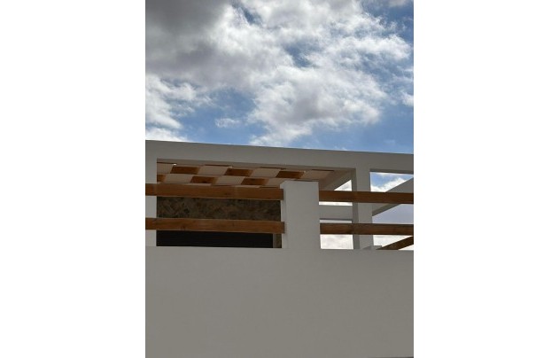 New Build - Villa - Pinoso - Casas Pastor