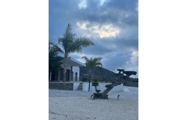 New Build - Villa - Pinoso - Casas Pastor