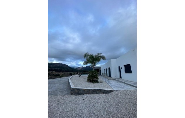 New Build - Villa - Pinoso - Casas Pastor