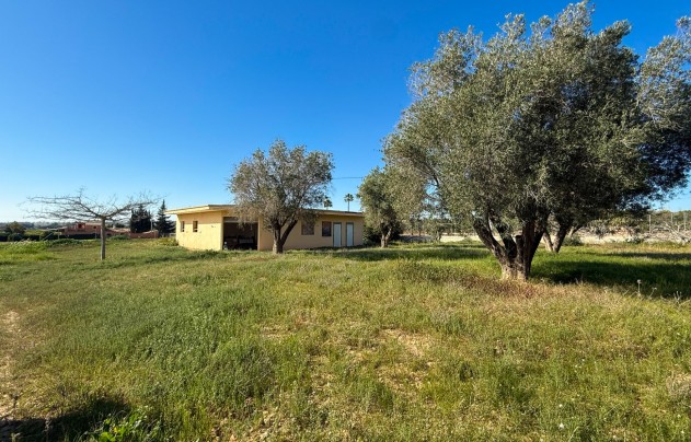 Herverkoop - Villa - Guardamar del Segura
