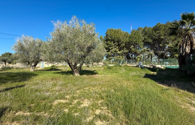 Herverkoop - Villa - Guardamar del Segura