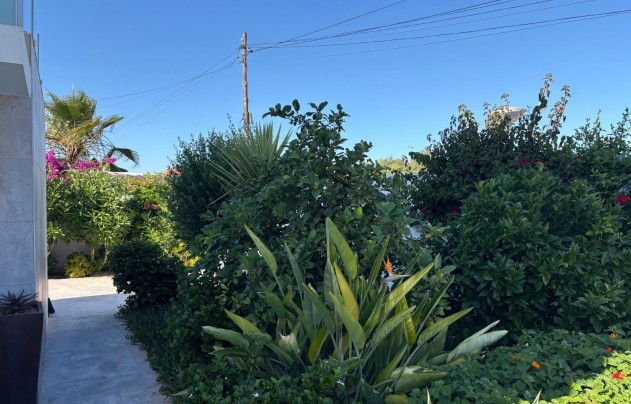 Resale - Villa / House - Torrevieja - La Siesta