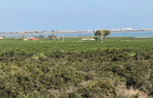 Resale - Villa - Ciudad Quesada - Doña Pepa