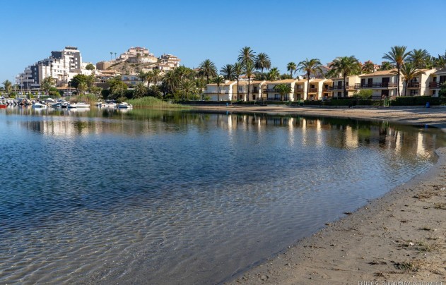 Nouvelle construction - Apartment - La Manga del Mar Menor - La Manga Club