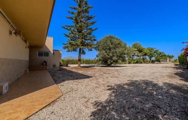 Revente - Villa - Almoradí