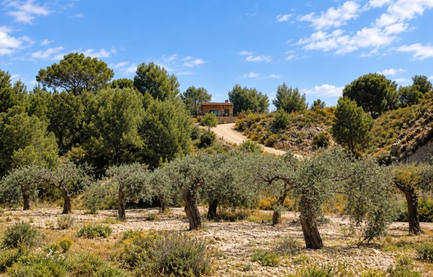 Resale - Villa - Murcia - Costa Blanca