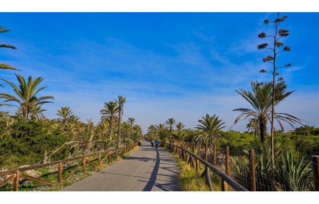 Resale - Villa - Guardamar del Segura - El Moncayo
