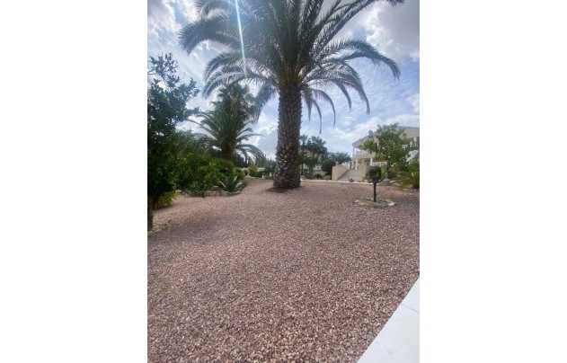 Revente - Villa - Algorfa - Inland