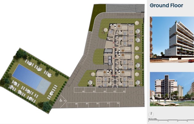 Nouvelle construction - Apartment - Guardamar del Segura - Puerto