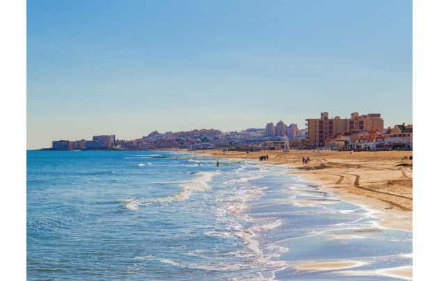 Revente - Commercial - Torrevieja - CLUB NAUTICO TORREVIEJA