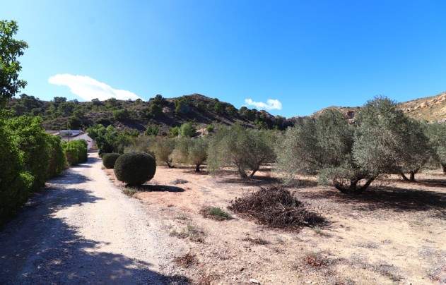 Reventa - Villa - Aspe