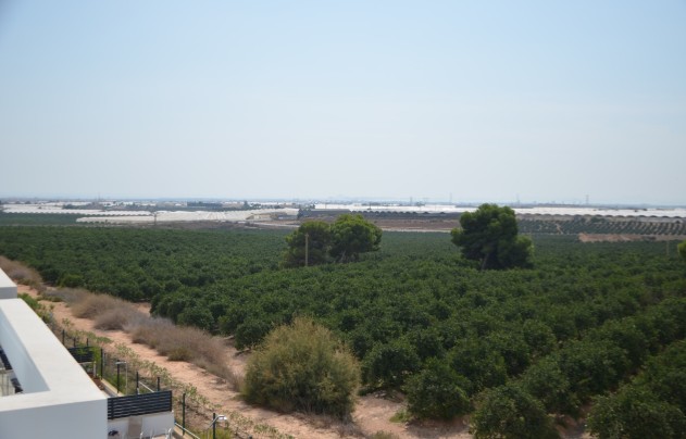 Resale - Villa - Pilar de la Horadada