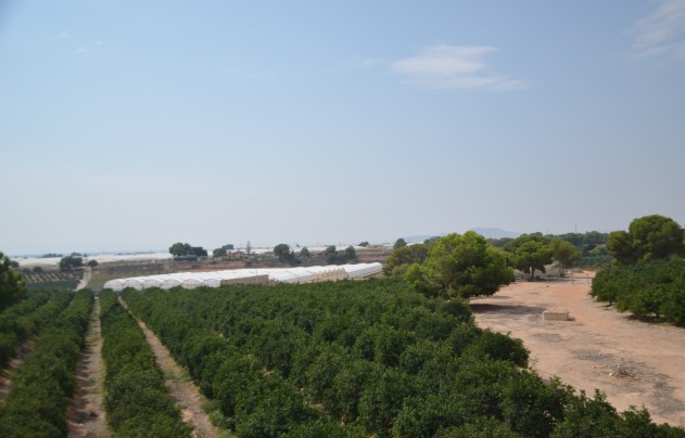 Resale - Villa - Pilar de la Horadada