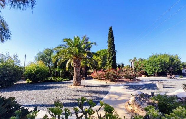 Resale - Villa - San Miguel de Salinas