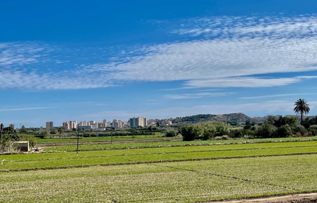 Resale - Villa - Guardamar del Segura