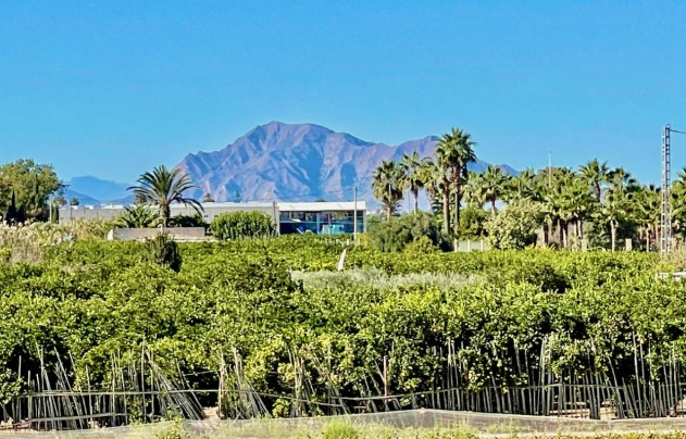 Resale - Villa - Guardamar del Segura