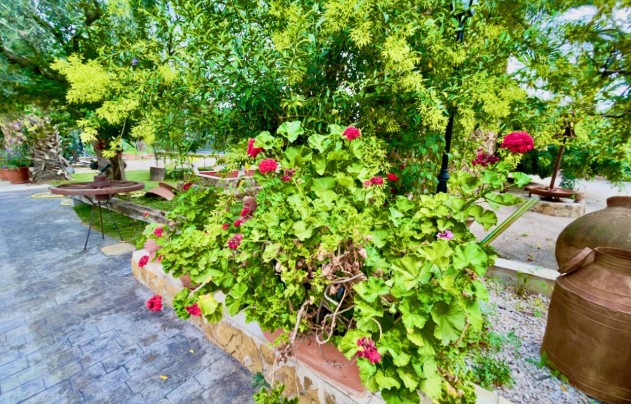 Resale - Villa - Orihuela