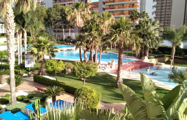 Herverkoop - Apartment - Benidorm - Rincón de Loix