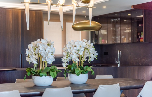 Reventa - Casa - Guardamar del Segura