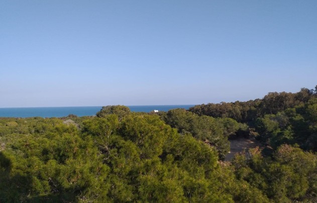 Herverkoop - Land - Guardamar del Segura