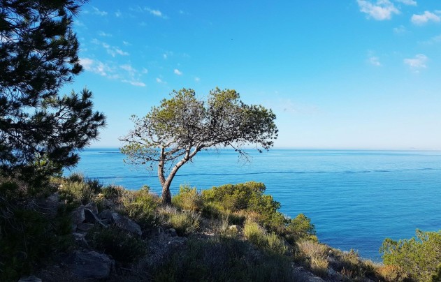 New Build - Apartment - Villajoyosa - Playa Les Torres