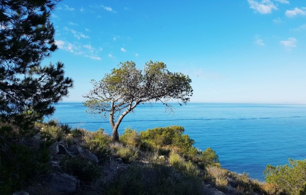 Nouvelle construction - Apartment - Villajoyosa - Playa Les Torres