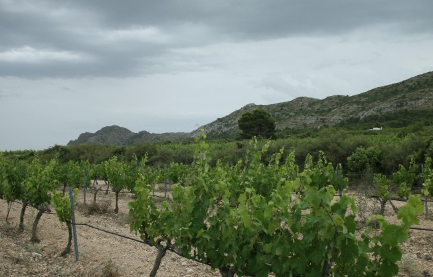 Obra nueva - Villa - Yecla