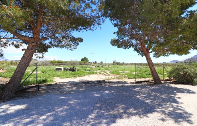 Revente - Villa - Callosa de Segura - Callosa de Segura - Country