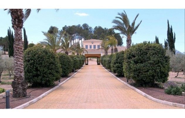 Resale - Villa - Penàguila