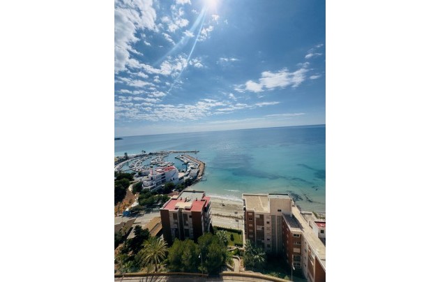 Resale - Apartment - Orihuela Costa - Dehesa de campoamor