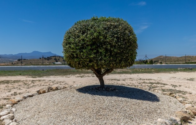 Resale - Villa - Torre Del Rico