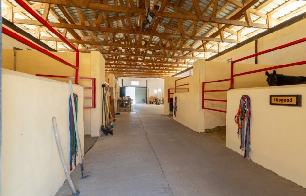 Resale - Villa - Torre Del Rico