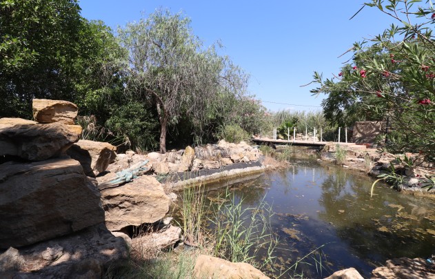 Revente - Villa - Catral - Catral - Country